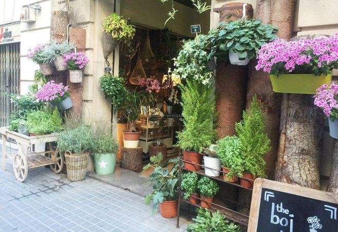杭州鲜花店装修设计,女孩子们都喜欢的专业鲜花店装修,鲜花店装修 杭州鲜花店装修设计,女孩子们都喜欢的专业鲜花店装修,鲜花店装修